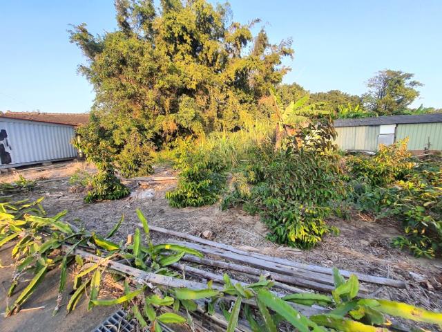 台南佳里建地-3