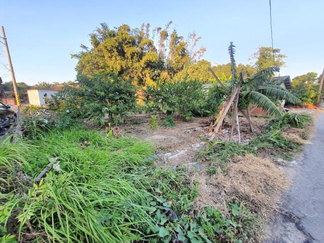 台南佳里建地-4