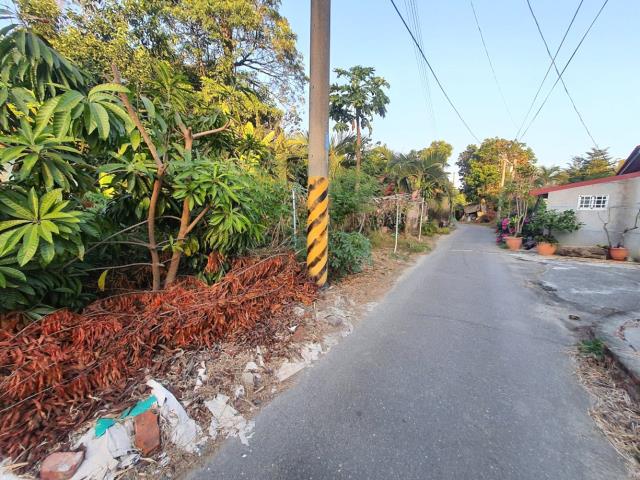 台南佳里建地-8