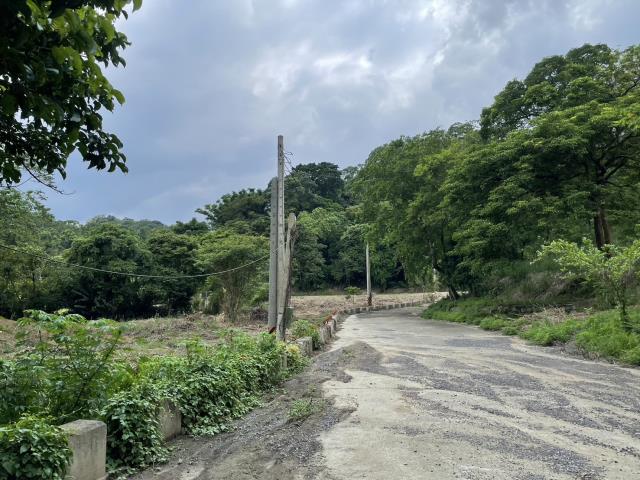 苗栗工業地出售出售苗栗工業地