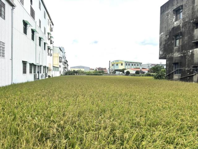 神岡建地-5