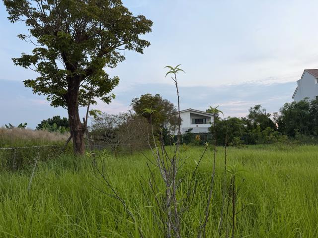 台南關廟建地-12