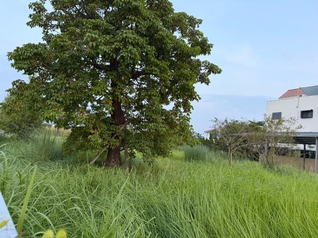 台南關廟建地-13