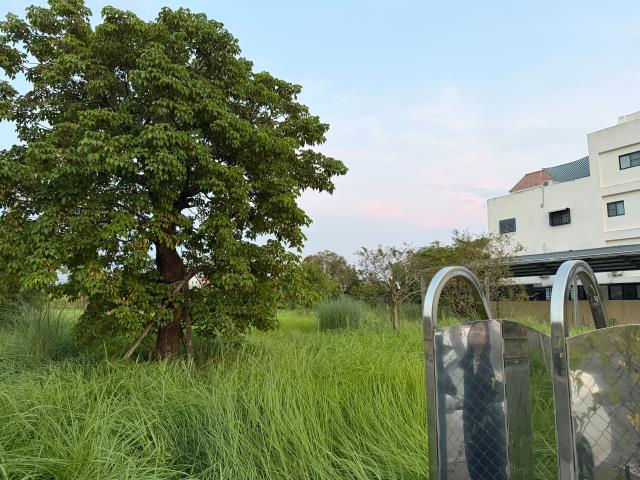 台南關廟建地-7