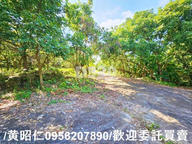 台南建地-3