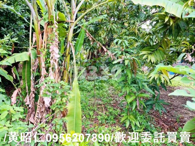 台南佳里建地-9