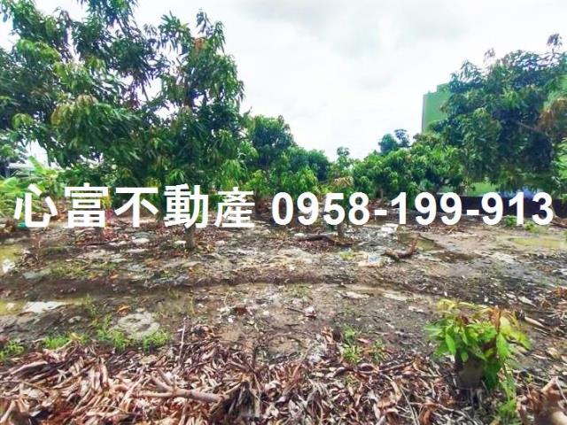 楠梓土地建地台積電投資開發出售建商開發透天別墅