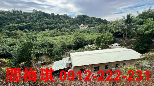 大坪數建地龍井