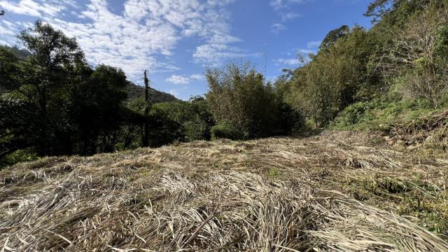 關西水坑臨路丙建