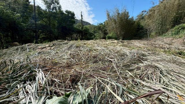 新竹關西建地-6