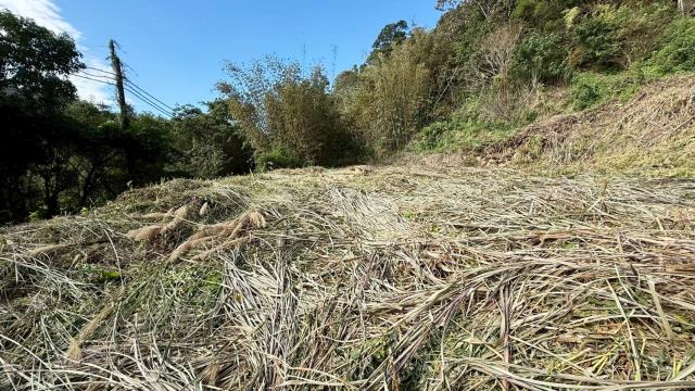 新竹農地新竹山坡地新竹休閒地新竹景觀地小坪數農地露