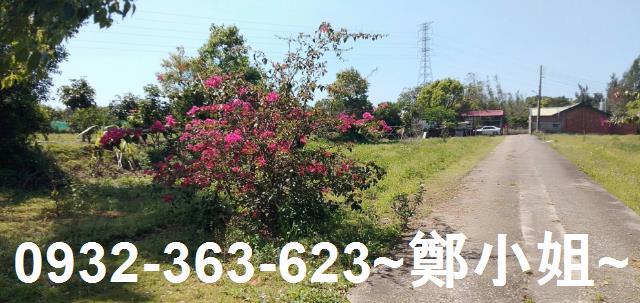 苗栗通霄建地-9