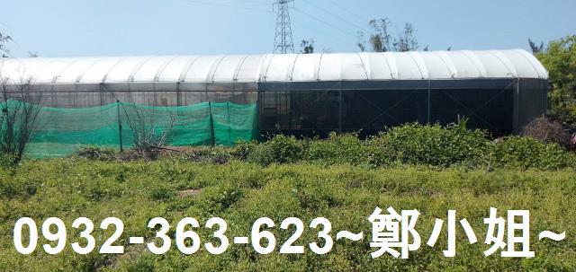 苗栗通霄建地-11