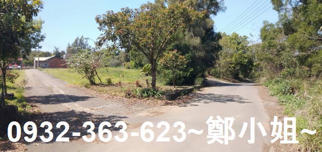 苗栗通霄建地-14