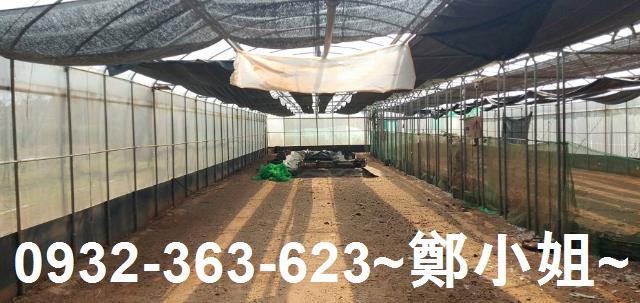 苗栗通霄建地-3