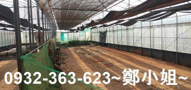 苗栗通霄建地-4