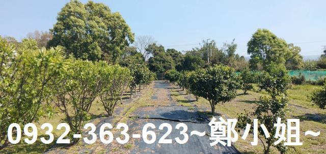 苗栗通霄建地-6