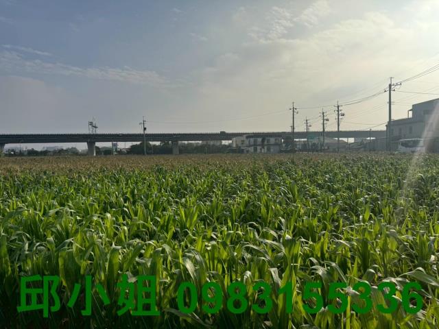 嘉義台積電故宮南院太保市嘉義高鐵站重劃