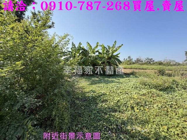 台南鹽水建地-8