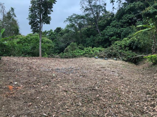 南投南投市建地-10