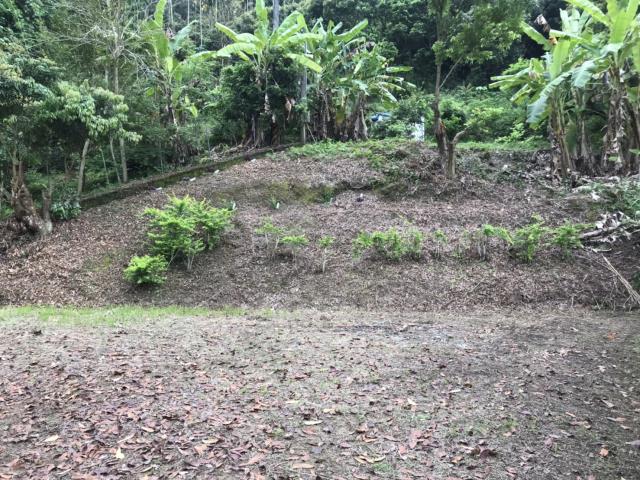 南投南投市建地-12