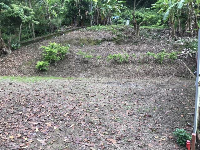 南投南投市建地-8