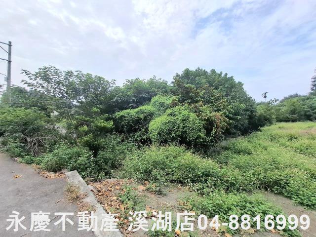 彰化田尾建地-2