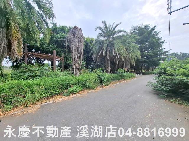 彰化田尾建地-3