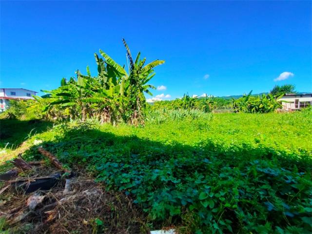 高雄內門建地-7