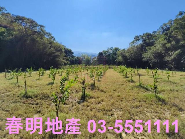 苗栗建地-0