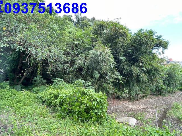 宜蘭頭城建地-3