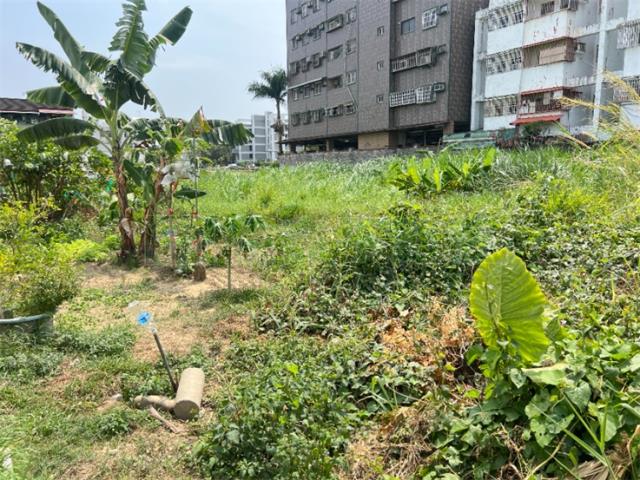 高雄楠梓區建地
