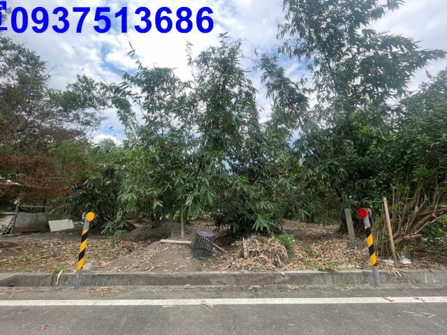 宜蘭宜蘭市建地-3