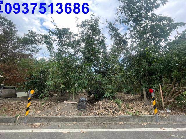 宜蘭宜蘭市建地-4