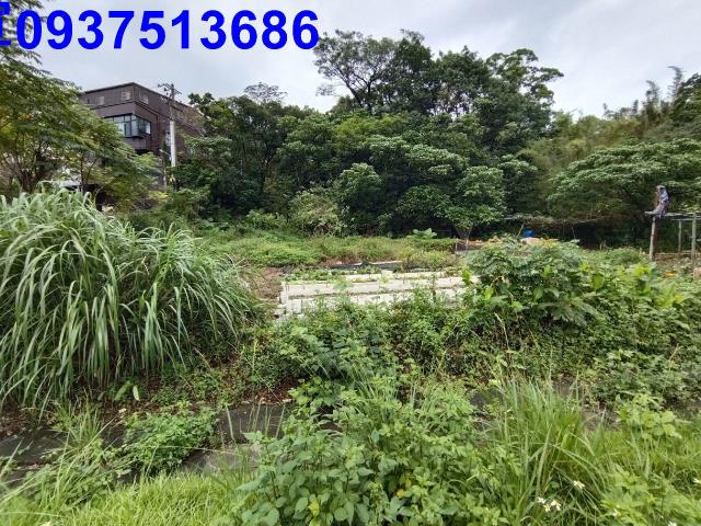 宜蘭縣蘇澳鎮頂寮段工業建地