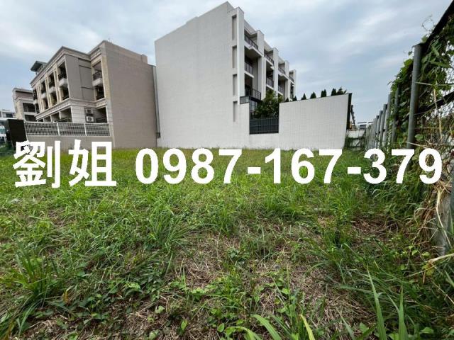 高雄仁武建地-1