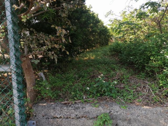 桃園中壢建地-1