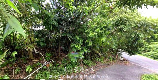 內門森林三角窗一分丙建