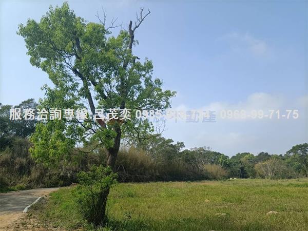 苗栗市建地-5