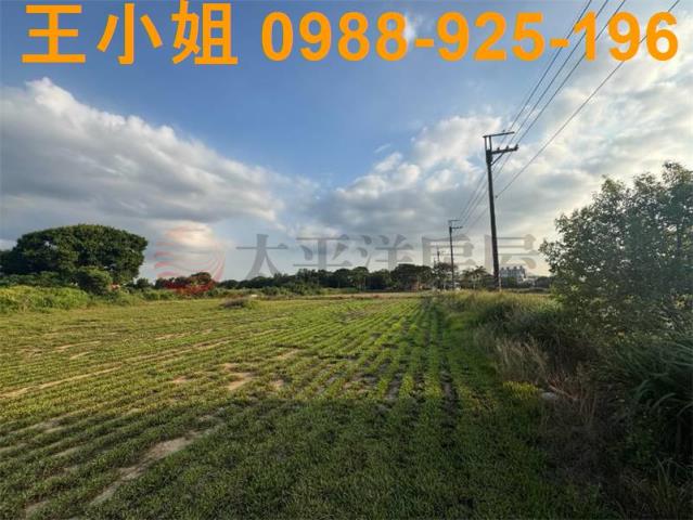 蘆竹航空城安置戶建地出售