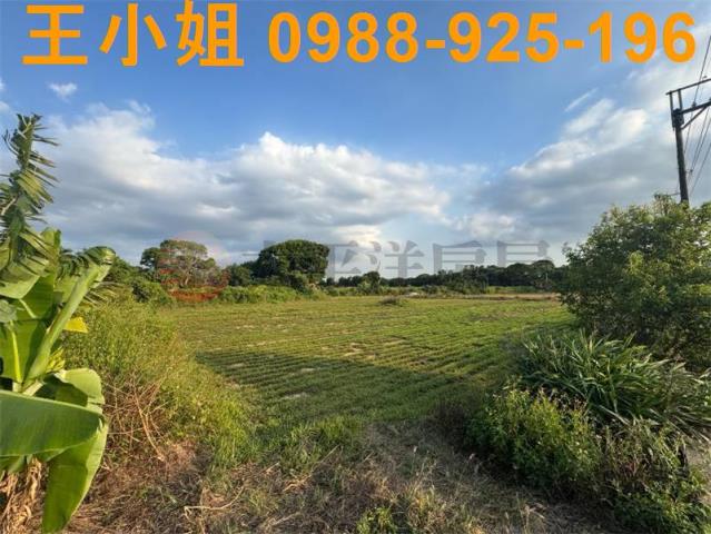 桃園楊梅建地-1