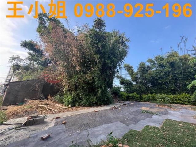 桃園楊梅建地-3