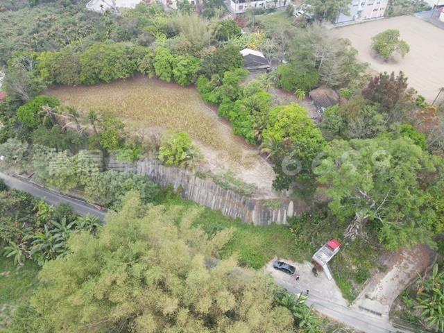 左鎮建地-6
