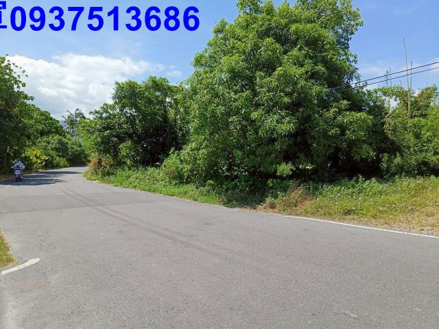 宜蘭羅東建地-4