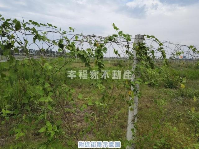 台南土地廠房建地工業地農地別墅店面透天大樓公寓套房