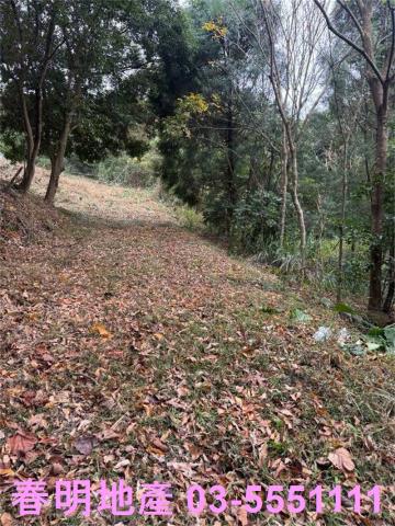 新竹芎林建地-9