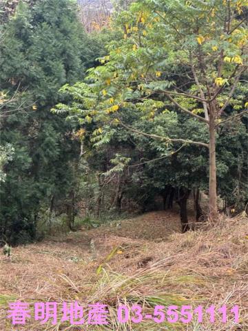 新竹芎林建地-2