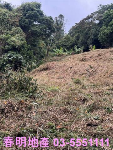 新竹芎林建地-4