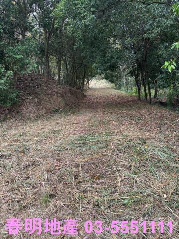 新竹芎林建地-6