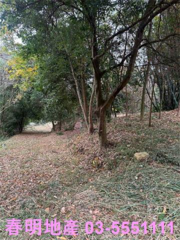 新竹芎林建地-7